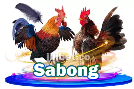 Sabong