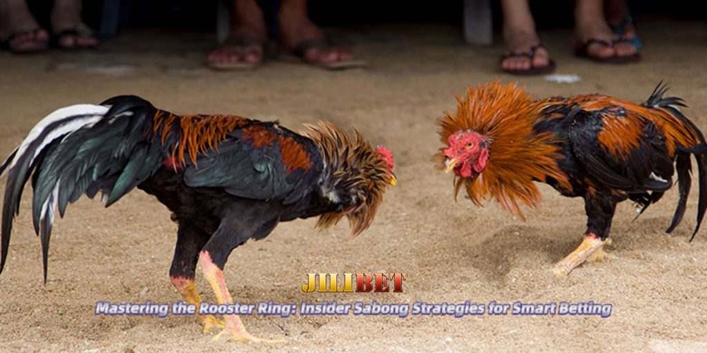 cockfighting